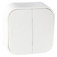 Выключатель двухклавишный Quteo Legrand (782202)