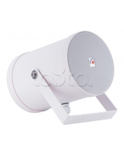 Двунаправленный Прожектор звуковой ROXTON SW-10T2 в Тольятти Система оповещения и трансляции Roxton Pintop.ru